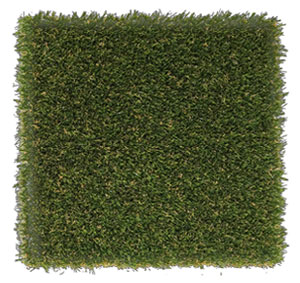 Patch ForeverLawn K9Grass Endura