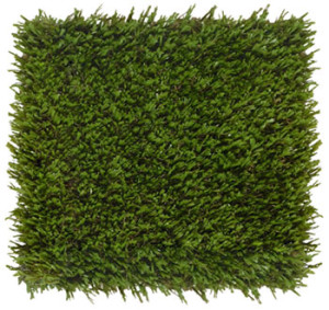 Patch ForeverLawn K9Grass Sport