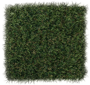 Patch ForeverLawn LandScapes Select LX