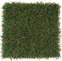 Patch ForeverLawn Playground Grass Academy