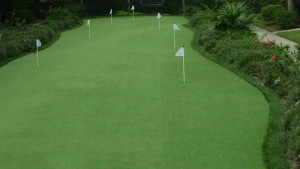 Artificial Grass ForeverLawn GolfGreens Putting Greens Card