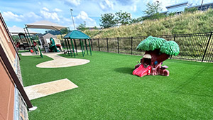 Artificial Grass ForeverLawn Playground Grass Explore Card