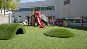 Artificial Grass ForeverLawn Playground Grass Playmounds Card