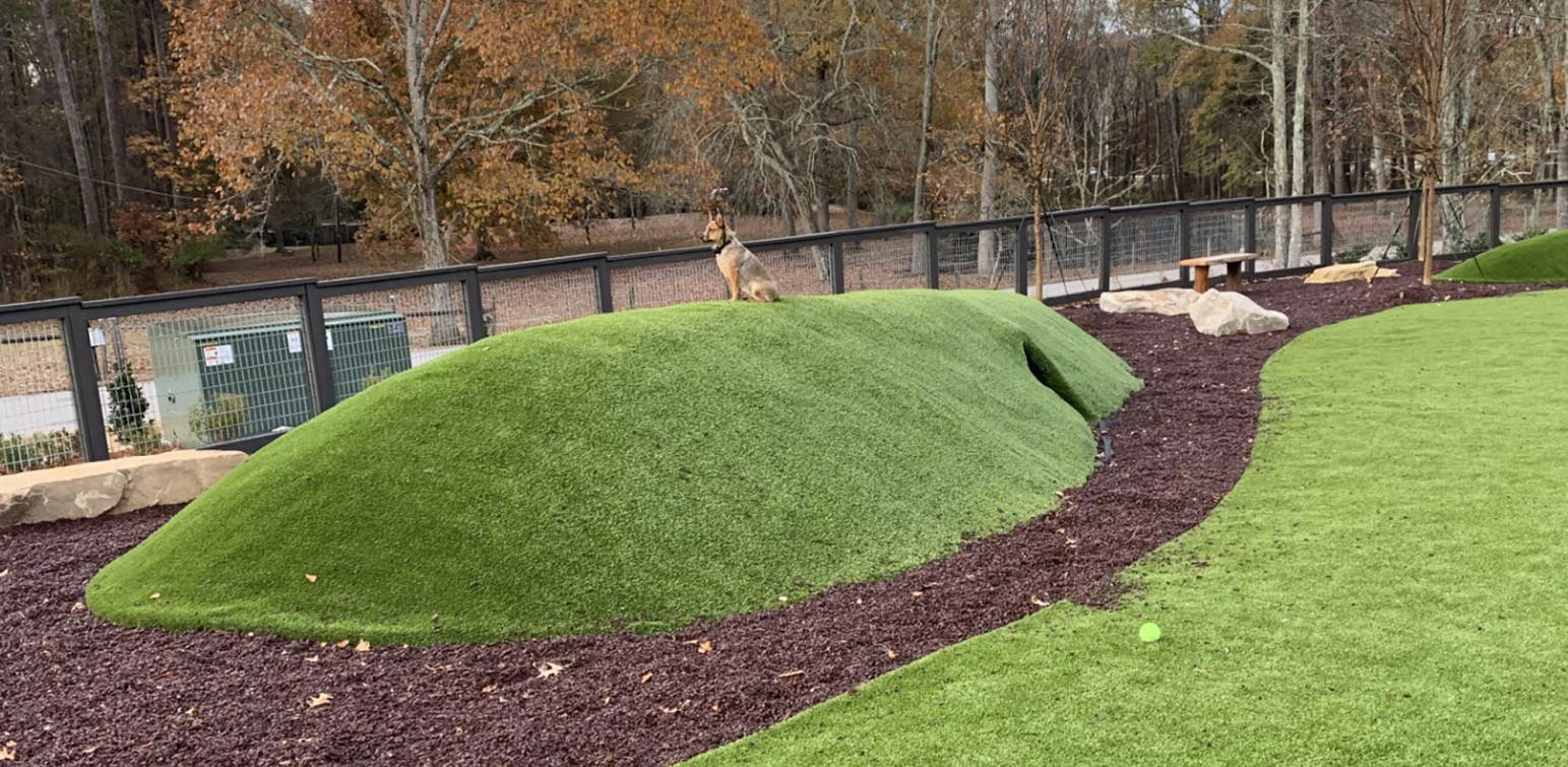 ForeverLawn Atlanta Georgia Artificial Turf K9Grass Classic with Mounds